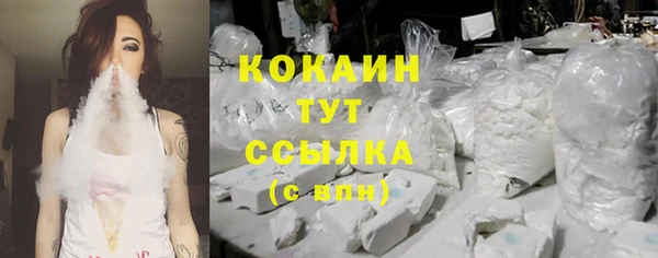 ALPHA PVP Кодинск