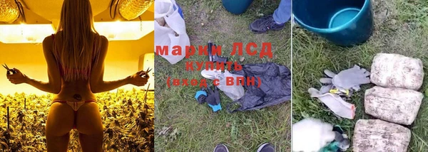 ALPHA PVP Кодинск