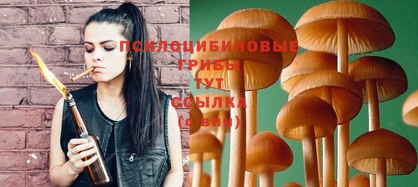 трава Киренск