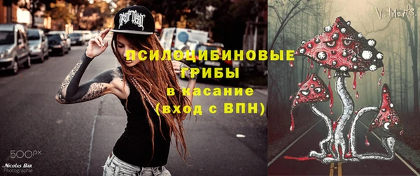 бошки Козельск