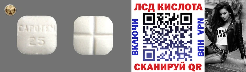 Купить закладки  Грайворон  ЛСД экстази кислота 