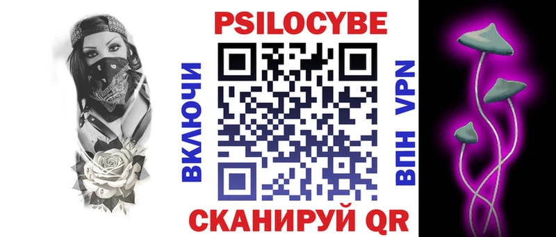 Галлюциногенные грибы Psilocybe  Купить где  Грайворон 