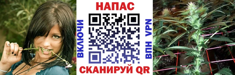 Канабис White Widow  Купить закладки  Грайворон 